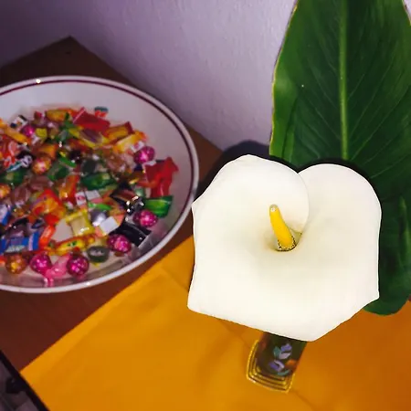 Διαμέρισμα Abbaidda 2 Valledoria (Sardinia)